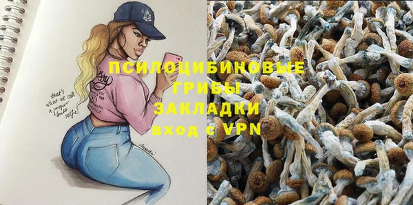 кокс Алзамай