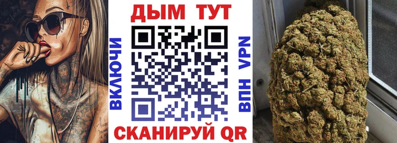 закладка  Солигалич  Конопля планчик 